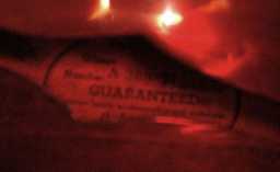 Gibson ES-345-TDC 1959 IMGP1101.JPG